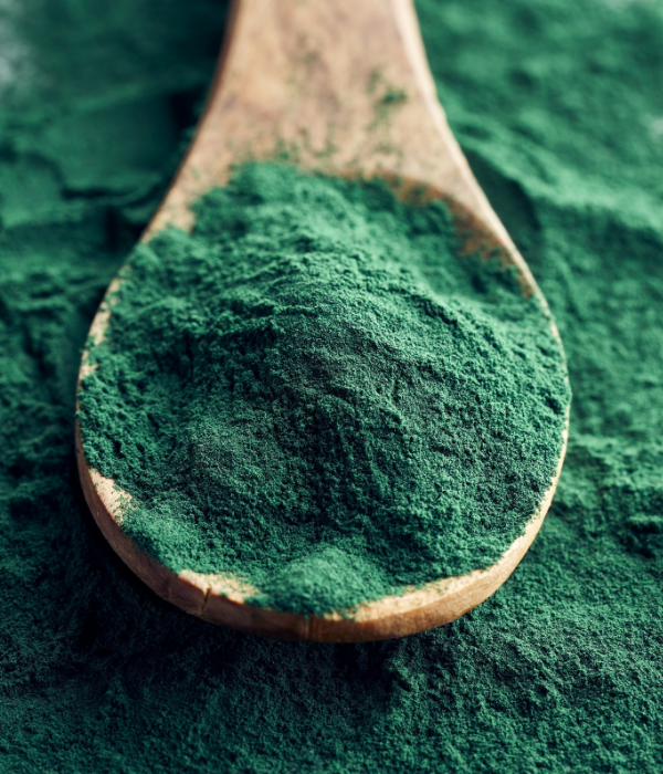 Spirulina Pura em Pó Andarilhos (100g)